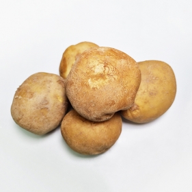 [레이저배송] 감자 (2kg/개당 250g 내외)