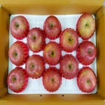 [레이저배송] 장성 사과(부사) 46-50과 (10kg/박스)