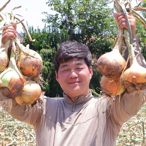 [무안] 햇양파 (5kg) 황토에서 자란 단단한 최상급 양파