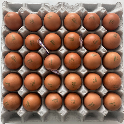 [함평] 구운란 (30구/1판) 구운달걀 맥반선계란
