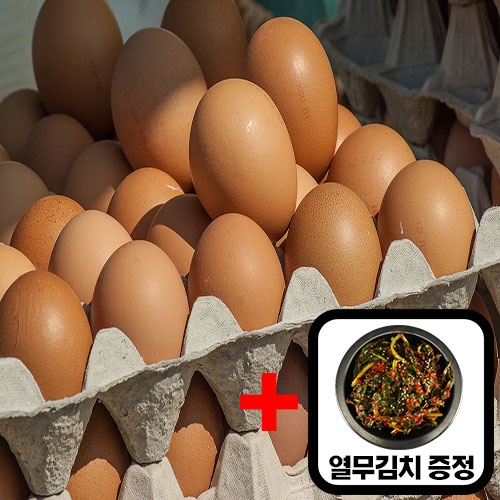 신선한 중란 60구(난각번호 4번)+열무김치(고추가루 중국산) 1kg 증정 이벤트!!!