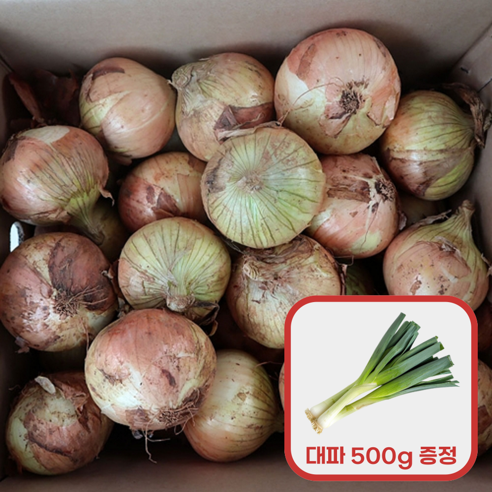 [3.5의 행복] 무안 햇 양파 소 3kg 구매시, 흙대파 500g 증정
