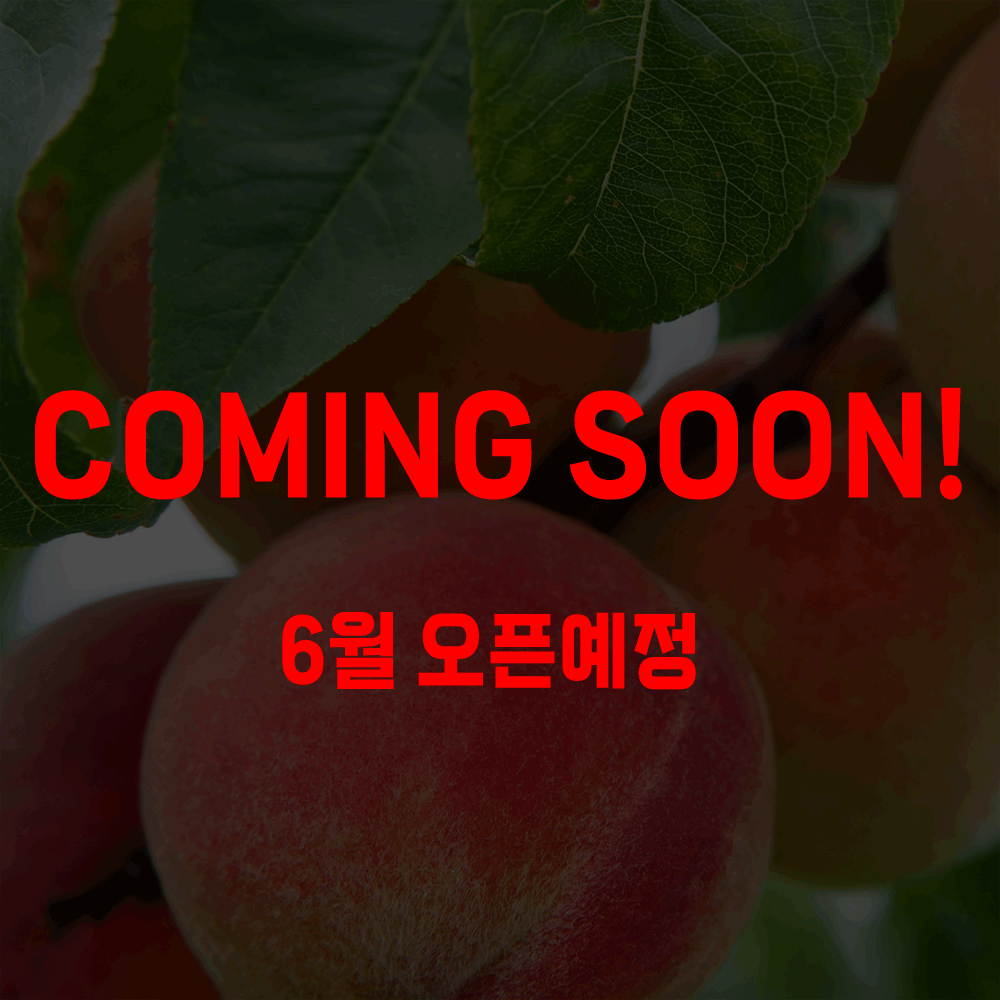 [경북] 천도복숭아/신비복숭아 신비 중대과 1kg/2kg 대폭할인!
