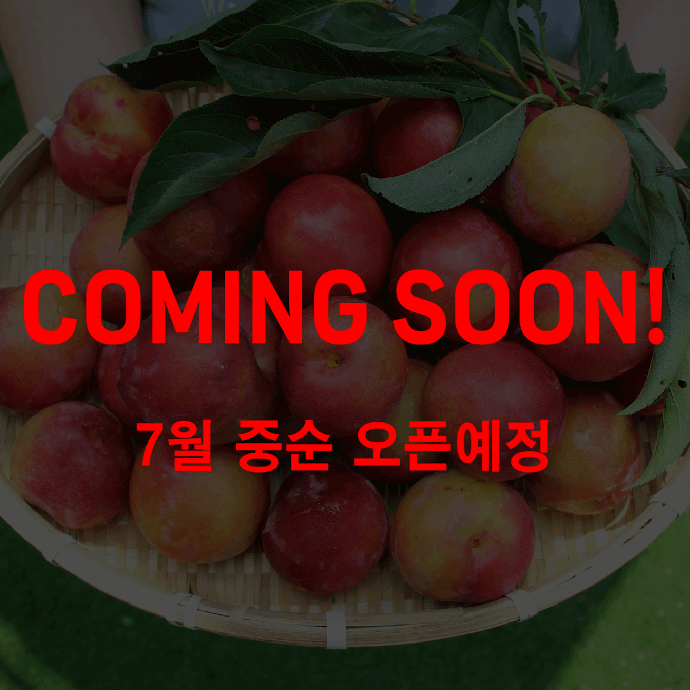 [경북] 새콤달콤 고당도 로얄 대석 자두 (2kg)