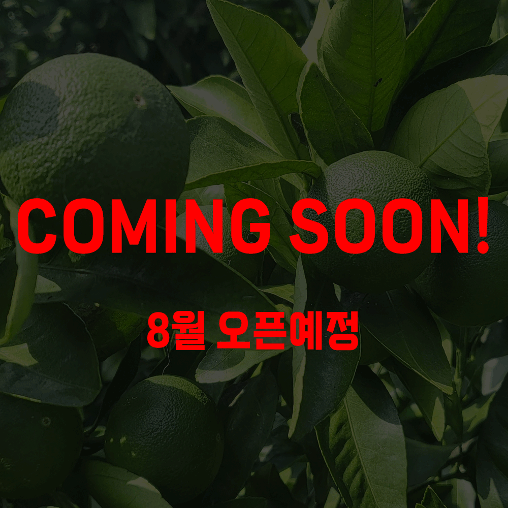 [제주] 새콤달콤 싱그러운 청귤