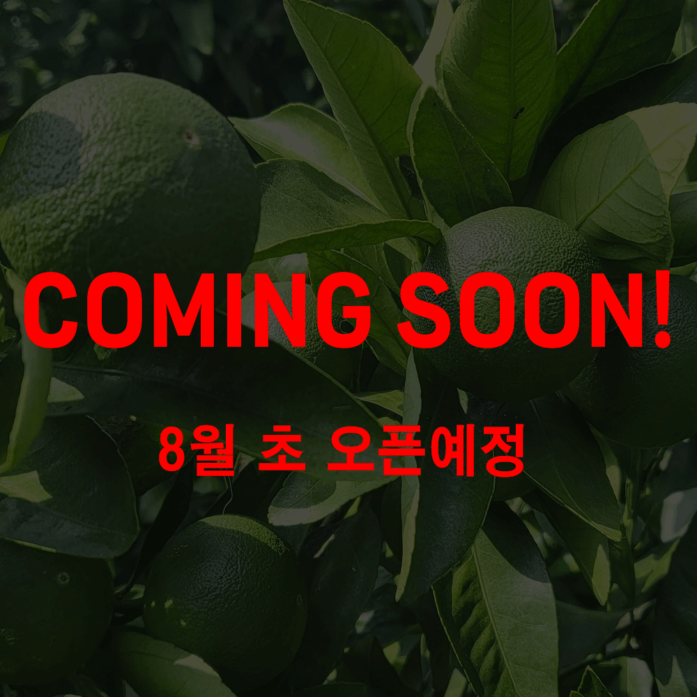 [제주] 새콤달콤 싱그러운 청귤