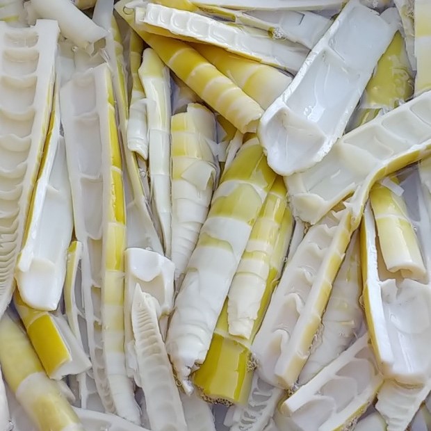[담양] 26년 산지직송 햇 삶은 죽순 1kg