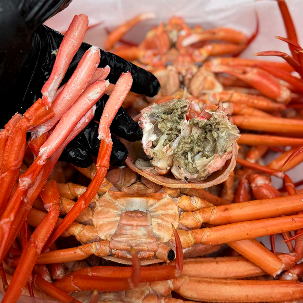 자숙(찜) 구룡포 가성비 연지홍게 5kg (18미 내외)
