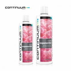 coral exponential 250ml-QCEX250-컨티넘