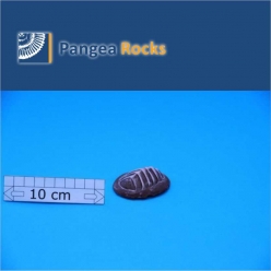 10320m-7x5x2cm-30g-Pangea Rocks