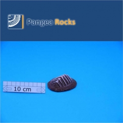 10310m-8x7x3cm-50g-Pangea Rocks