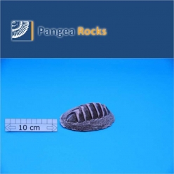 10300m-13x11x4cm-140g-Pangea Rocks