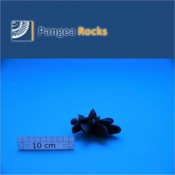 10150m-9x8x4cm-60g-Pangea Rocks