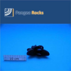10120m-10x8x5cm-100g-Pangea Rocks
