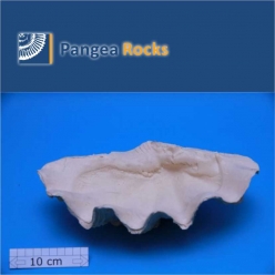 10060m-30x17x12cm-700g-Pangea Rocks