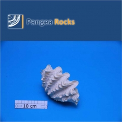 10010m-16x9x8cm-500g-Pangea Rocks