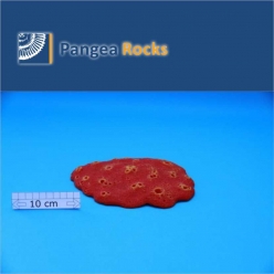 8010m-20x15x2cm-180g-Pangea Rocks