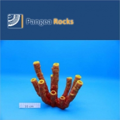 7800m-22x22x13cm-850g-Pangea Rocks