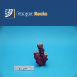 7660m-12x7x5cm-143g-Pangea Rocks