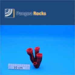 7530m-9x8x7cm-80g-Pangea Rocks