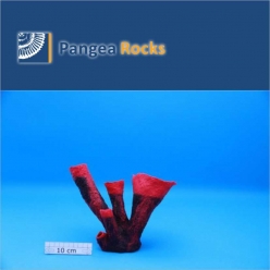 7500m-23x20x6cm-550g-Pangea Rocks