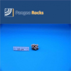 7430m-5x4x3cm-40g-Pangea Rocks