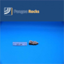 7420m-7x4x2cm-30g-Pangea Rocks