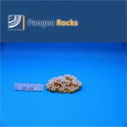 7400m-11x6x4cm-130g-Pangea Rocks