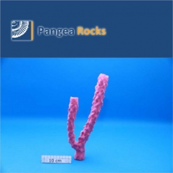 7300m-35x12x4cm-290g-Pangea Rocks