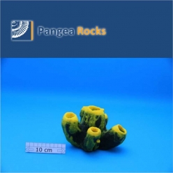 7200m-16x14x11cm-780g-Pangea Rocks