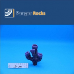 7110m-10x8x8cm-120g-Pangea Rocks
