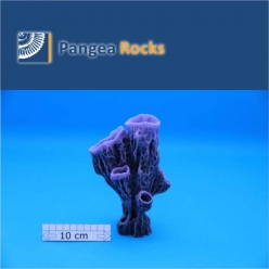 7100m-18x12x7cm-340g-Pangea Rocks