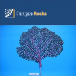 6540m-59x58x2cm-440g-Pangea Rocks