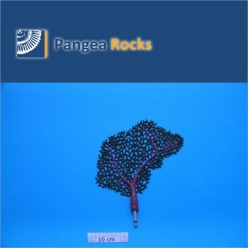 6530m-26x23x2cm-60g-Pangea Rocks