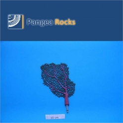6520m-25x19x2cm-60g-Pangea Rocks