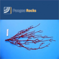 6400m-60x15x2cm-200g-Pangea Rocks