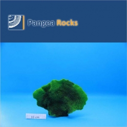 6005m-27x19x7cm-330g-Pangea Rocks