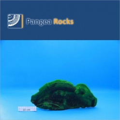 6000m-37x16x5cm-700g-Pangea Rocks