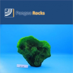 5990m-30x27x8cm-900g-Pangea Rocks
