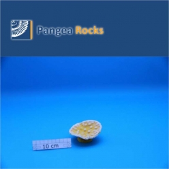 5600m-9x9x4cm-60g-Pangea Rocks