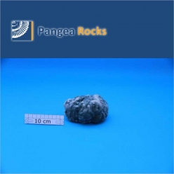 5500m-11x9x6cm-350g-Pangea Rocks