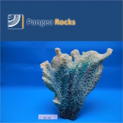 5310m-40x38x8cm-2,100g-Pangea Rocks