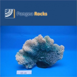 5300m-34x13x25cm-1,500g-Pangea Rocks