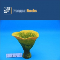 5120m-16x16x11cm-250g-Pangea Rocks