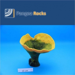 5100m-23x23x16cm-620g-Pangea Rocks