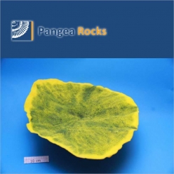 5070m-56x45x15cm-2,700g-Pangea Rocks