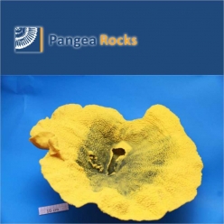 5060m-50x48x30cm-2,700g-Pangea Rocks