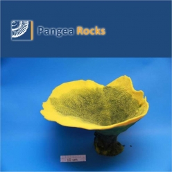 5040m-40x39x23cm-2,100g-Pangea Rocks