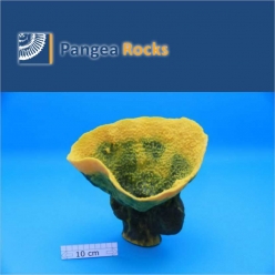 5030m-24x22x20cm-900g-Pangea Rocks