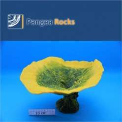 5020m-31x26x20cm-900g-Pangea Rocks